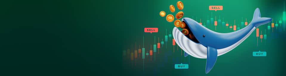 AI Whale Insight